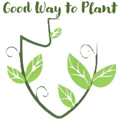 Your Source for Indoor and Outdoor Plants, Flowers, and Plant Care